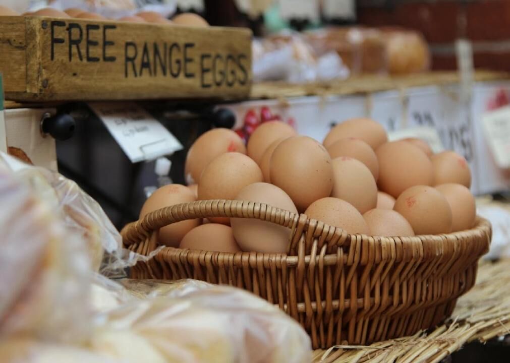 Cage-free catches on